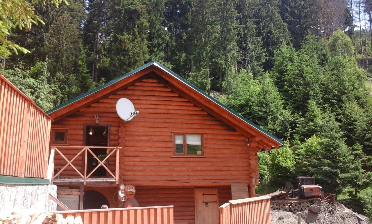 Auberge de jeunesse Farmstead Lisova à Mizhhirya  Extérieur photo